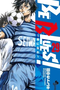 Vol. 29