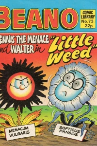 Little Weed