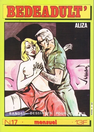 Cover of Issue #17