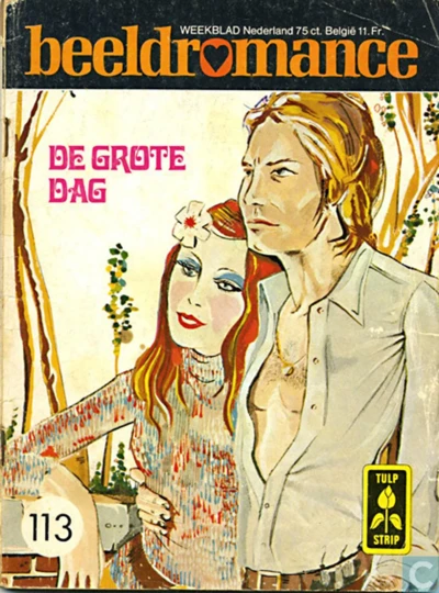 Cover of De grote dag