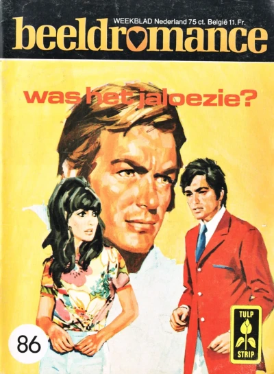 Cover of Was het jaloezie?