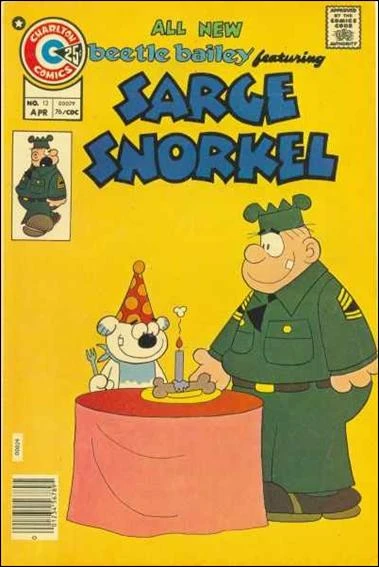 Cover of Issue #13