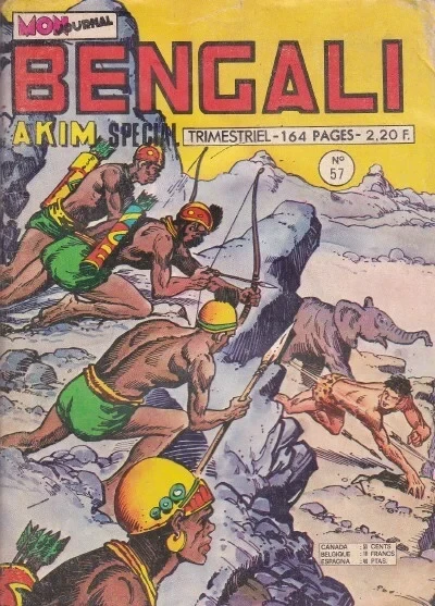 Cover of Bric à brac tombé du ciel