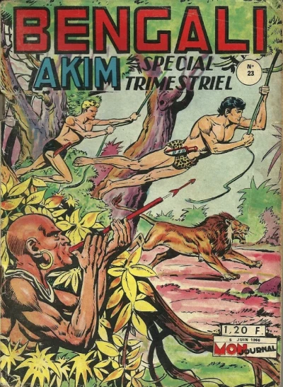 Cover of La forêt pétrifiée