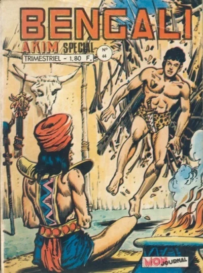 Cover of L'anneau du pouvoir