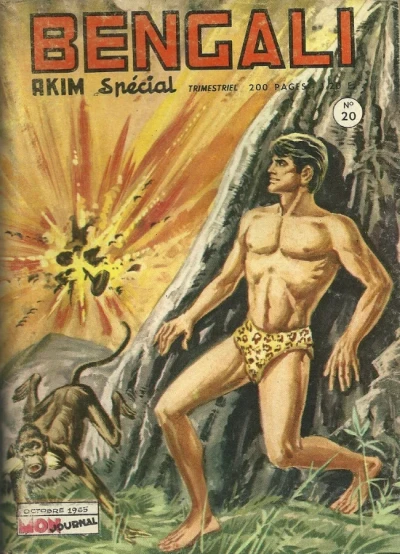 Cover of Le faucon rouge