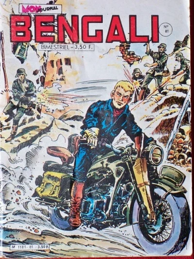 Cover of Le mystérieux sorcier blanc
