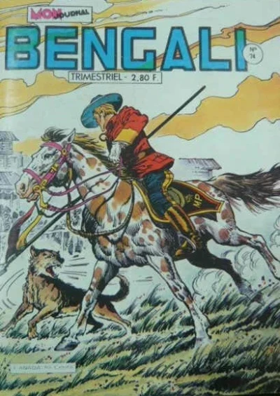 Cover of Le sorcier blanc