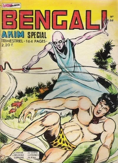 Cover of Le sorcier des sorciers