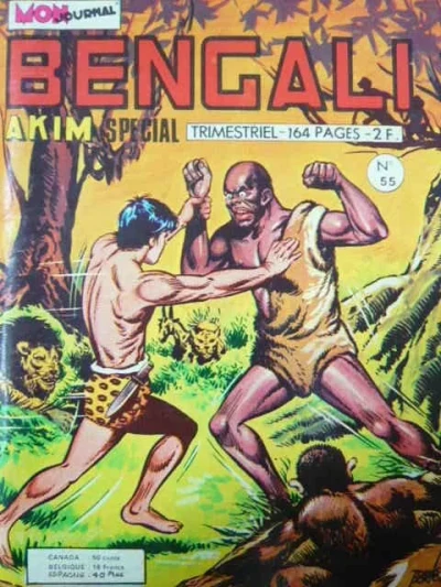 Cover of Le sorcier maudit