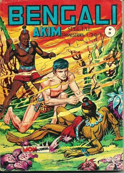 Cover of Les rubis de la vallée de l'arc