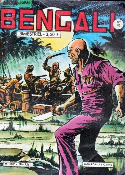 Cover of Les rubis de la Vallée de l'Arc