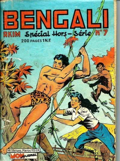 Cover of Rudy le fils de la jungle