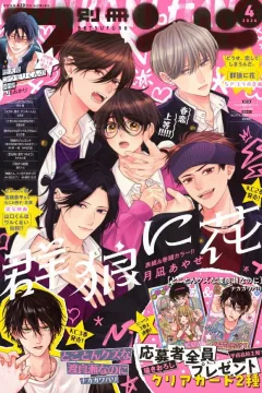 Issue #202604