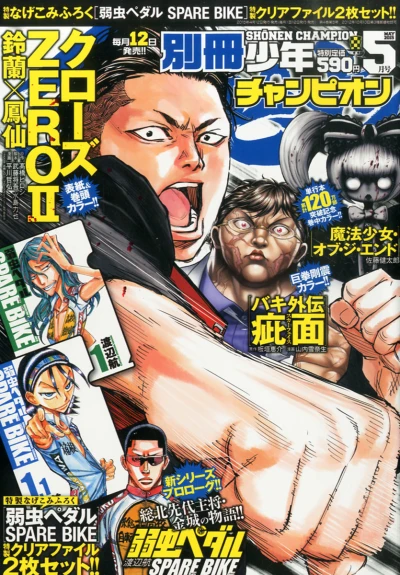 Cover of No. 5, 2015