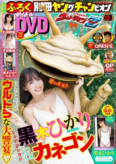 Cover of No. 12, 2020