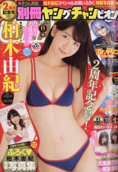 Cover of No. 11, 2016