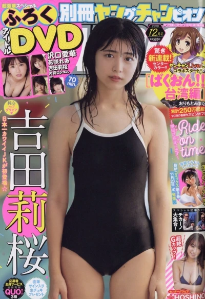 Cover of No. 12, 2019
