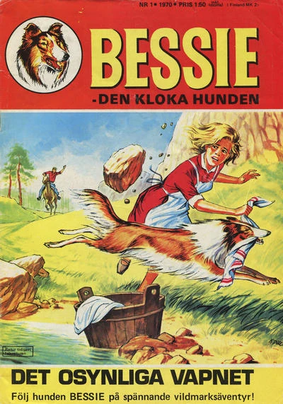 Cover of Det Osynliga Vapnet