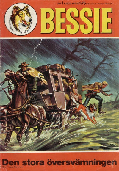 Cover of Den stora oversvamningen