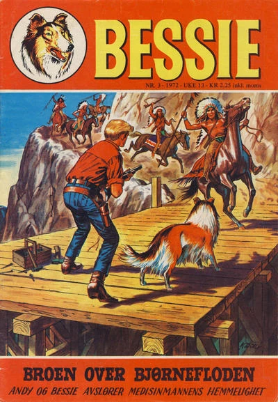 Cover of Broen Over Bjornefloden