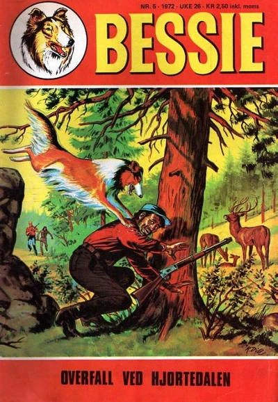 Cover of Overfall ved Hjortedalen