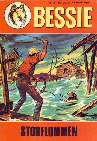 Cover of Storflommen