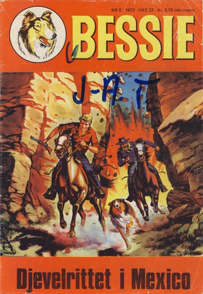 Cover of Djevelrittet i Mexico