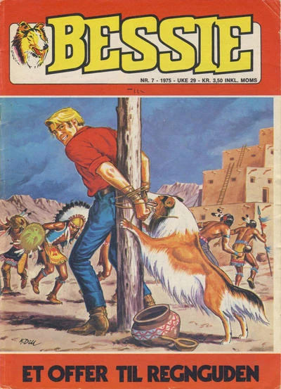 Cover of Bessie et Offer til Regnguden