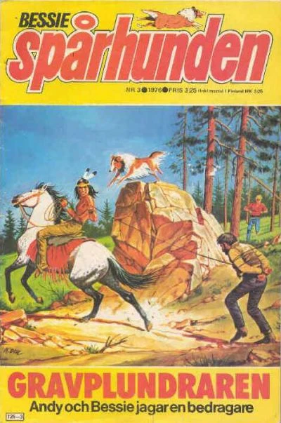 Cover of Gravplundraren