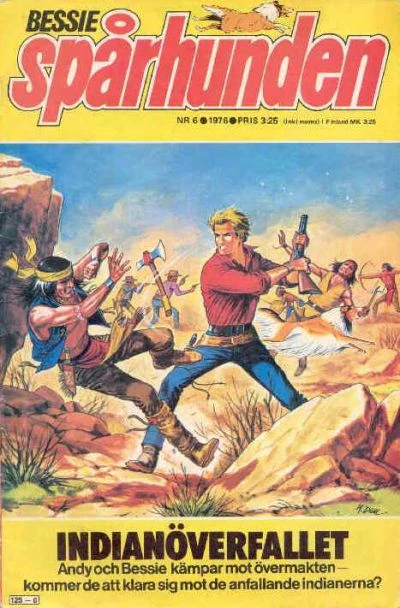 Cover of Indianoverfallet