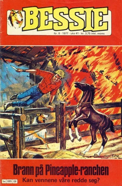 Cover of Brann pa Pineapple-ranchen