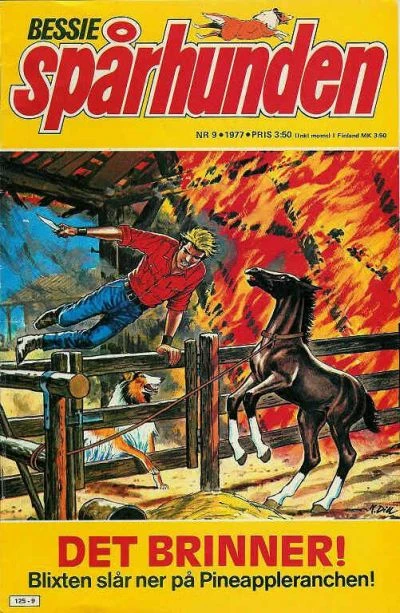 Cover of Det Brinner!