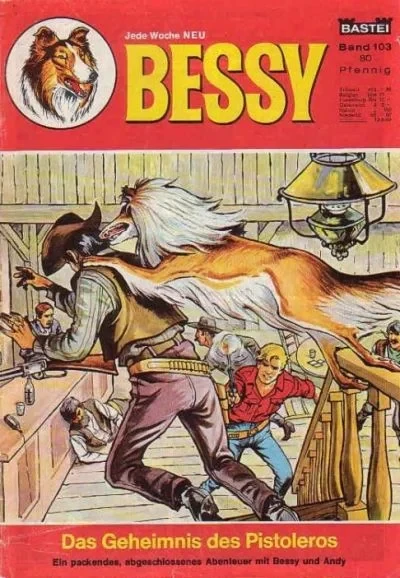 Cover of Das Geheimnis des Pistoleros