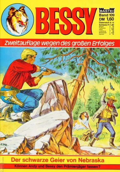 Cover of Der schwarze Geier von Nebraska