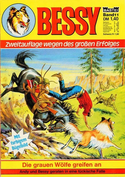 Cover of Die grauen Wolfe greifan an
