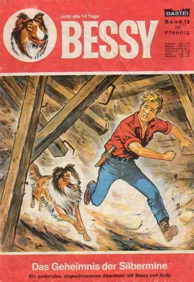 Cover of Das Geheimnis der Silbermine