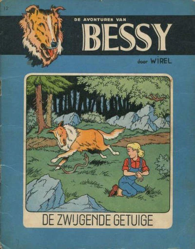 Cover of De zwijgende getuige
