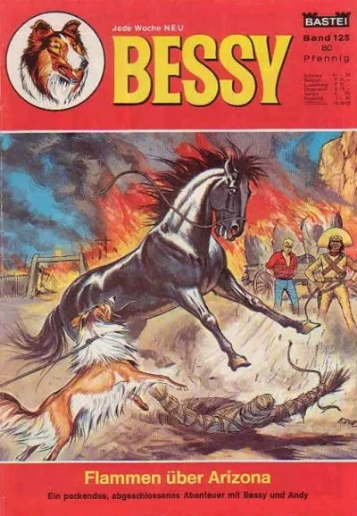Cover of Flammen uber Arizona