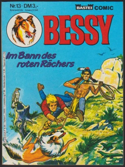 Cover of Im Bann des roten Rächers