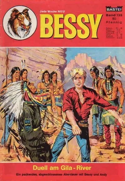 Cover of Duell am Gila-River