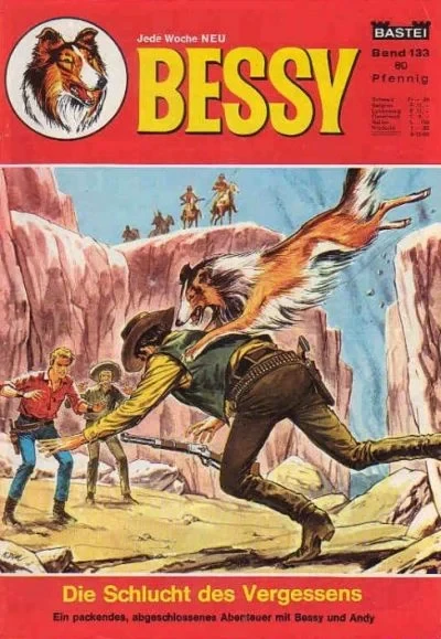 Cover of Die Schlucht des Vergessens
