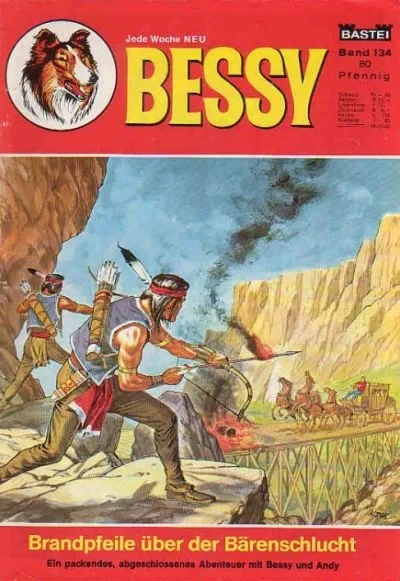Cover of Brandpfeile uber der Barenschlucht