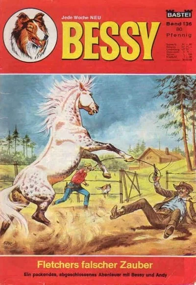 Cover of Fletchers Falscher Zauber