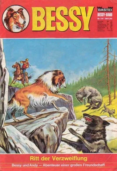 Cover of Ritt der Verzweiflung