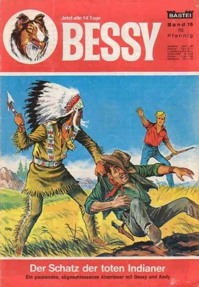 Cover of Der Schatz der Toten Indianer