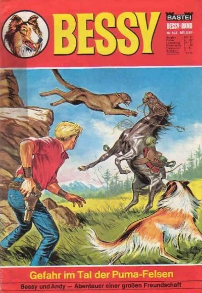 Cover of Gefahr im Tal der Puma-Felsen