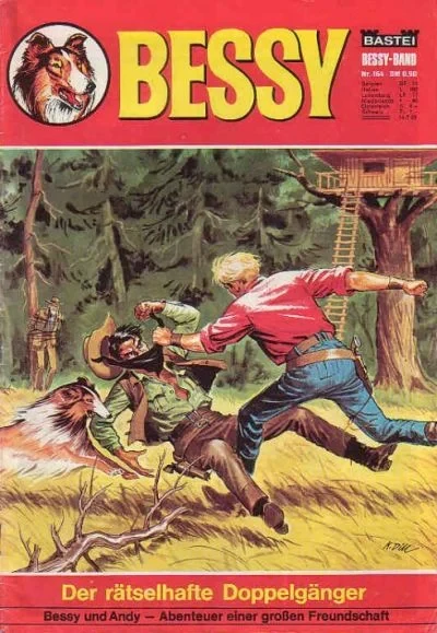 Cover of Der Ratselhafte Doppelganger