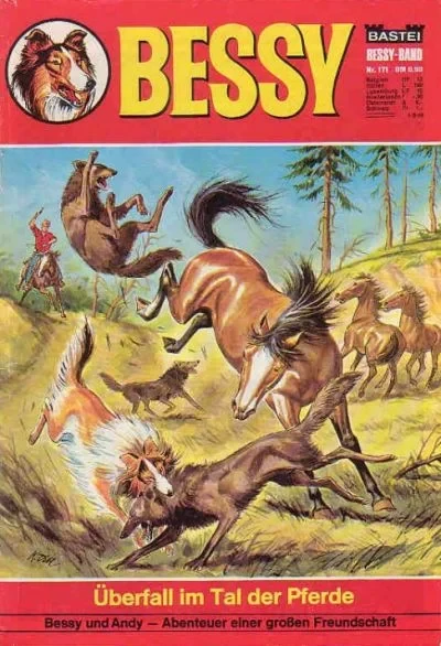 Cover of Uberfall im Tal der Pferde
