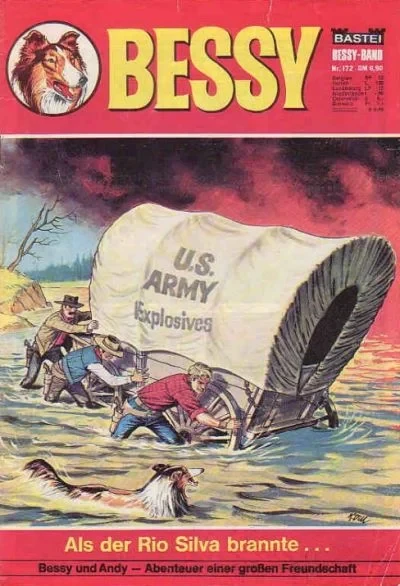 Cover of Als der Rio Silva Brannte ...